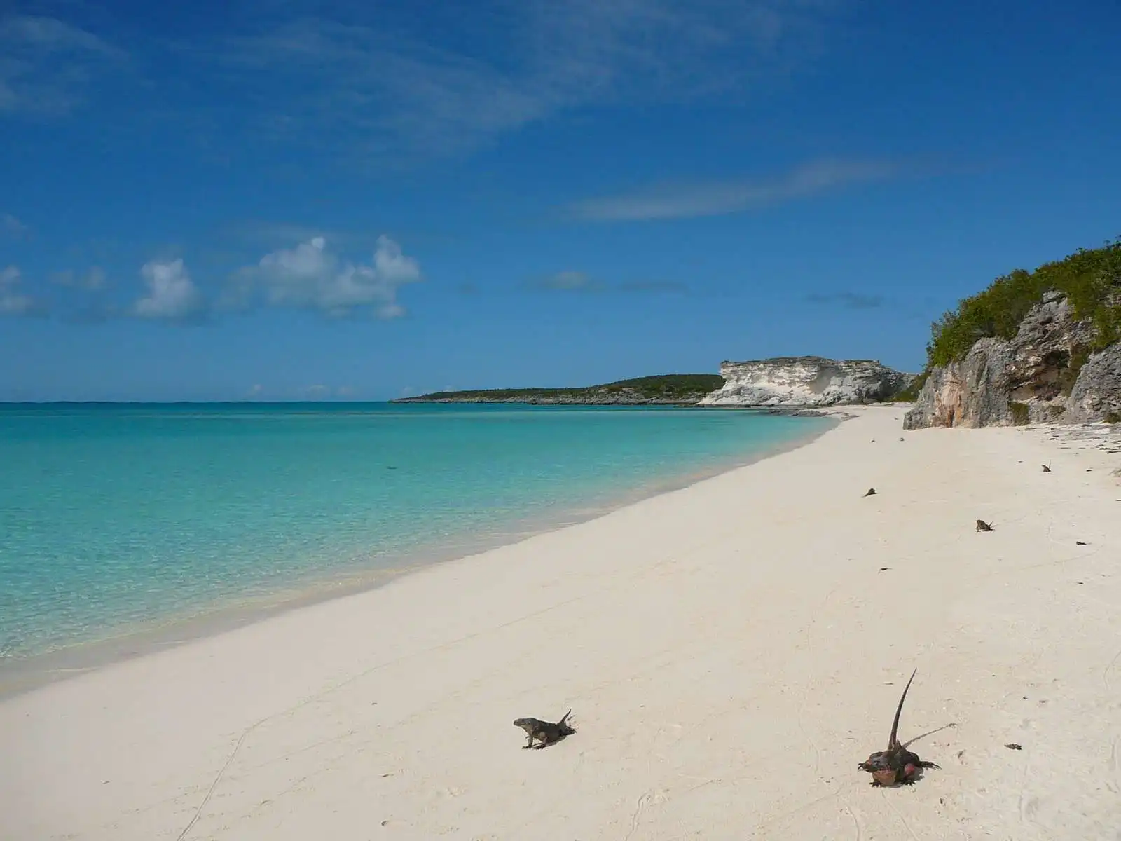 bahamas beach